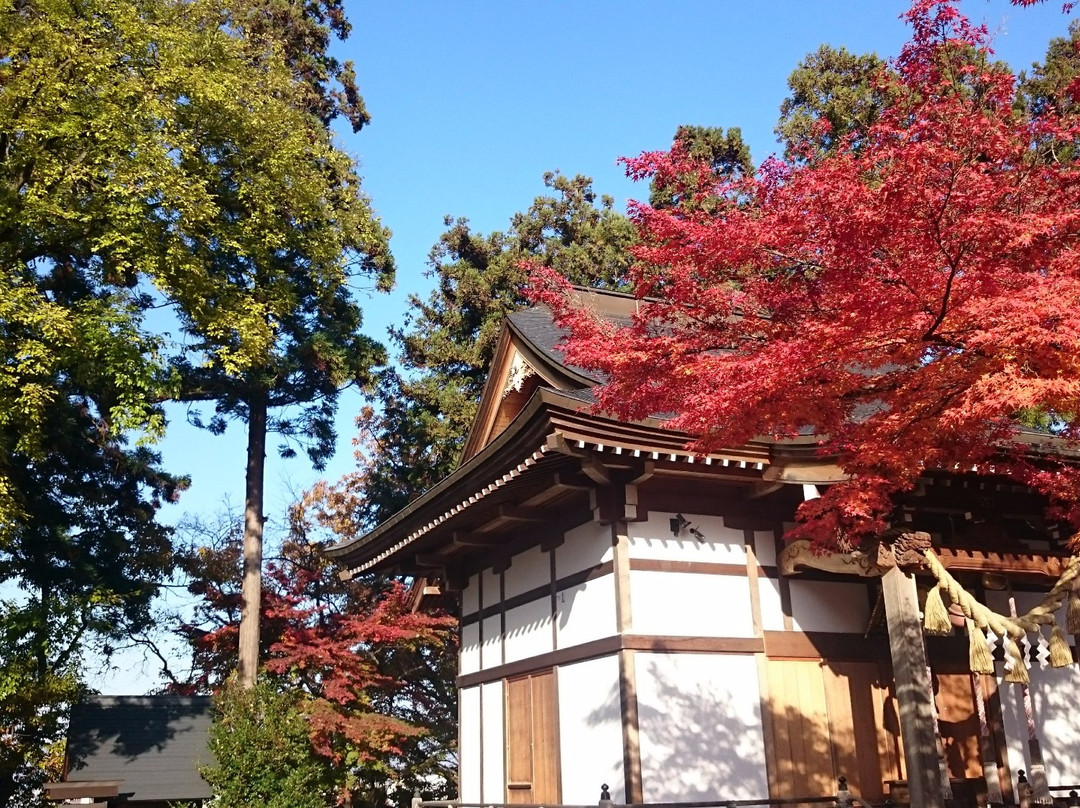 Koji Kitaro Inari Shrine景点图片