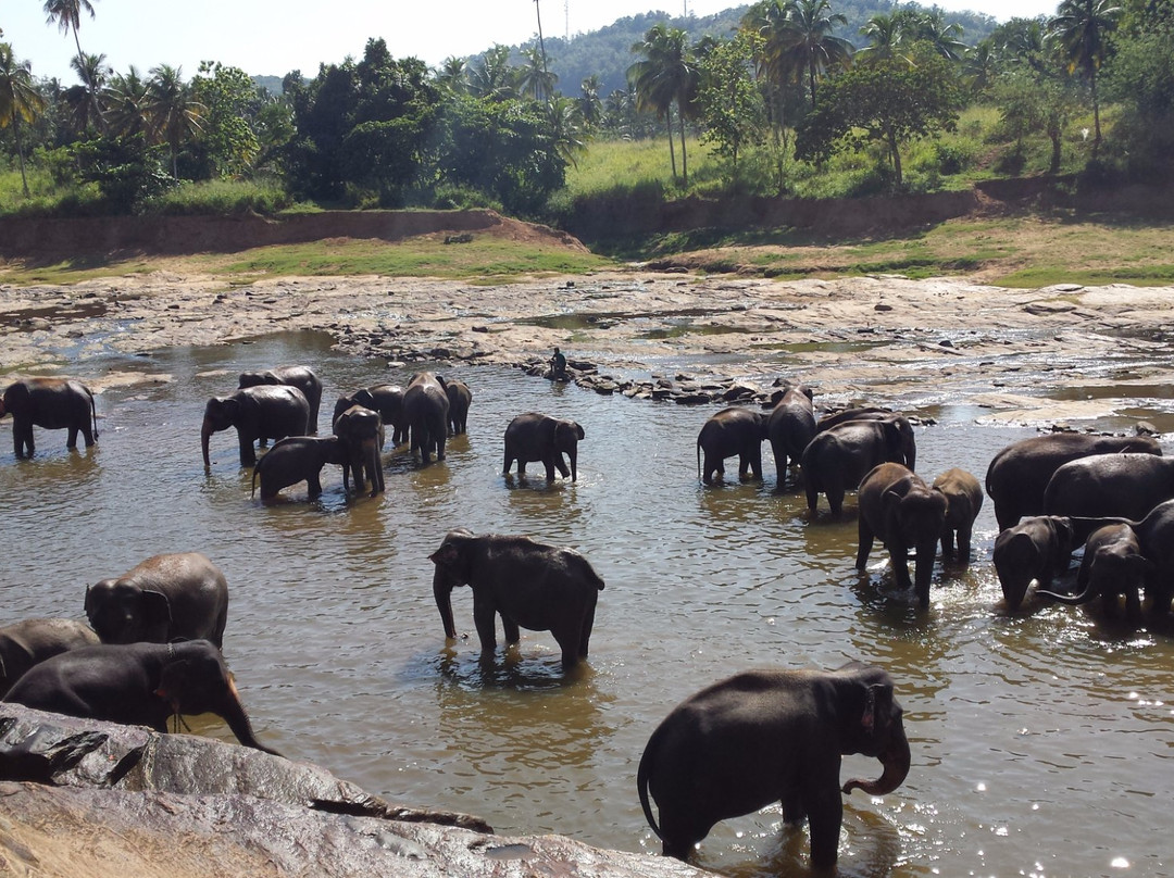 EuroLanka Holidays-加勒必去景点