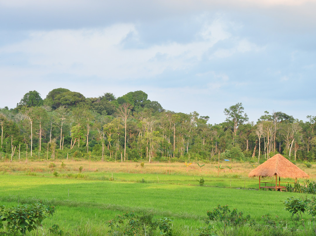 Sawah Ladang Bintan景点图片