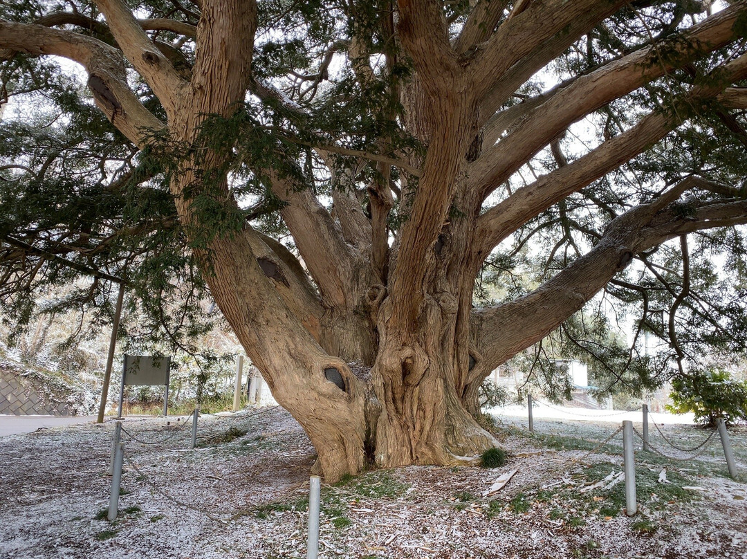 Large Kaya of Manshoji