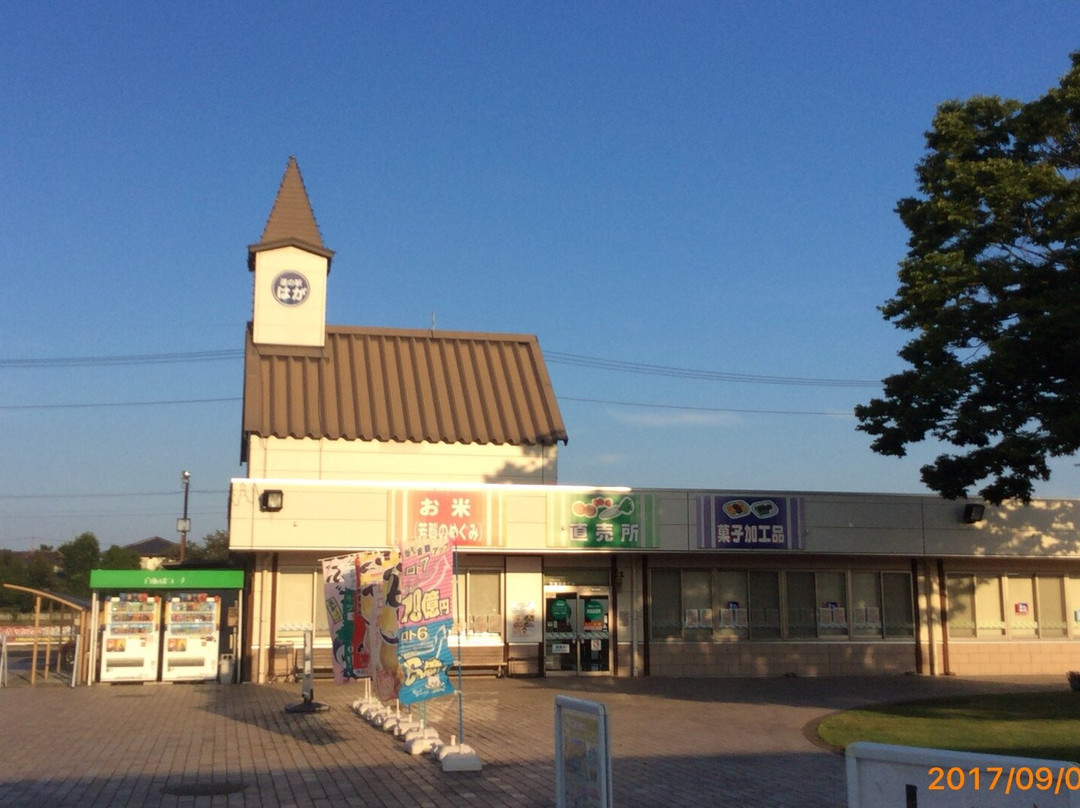 芳贺町旅游攻略图片