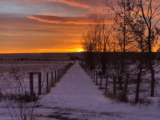 阿斯彭渡口-Mossleigh必去景点
