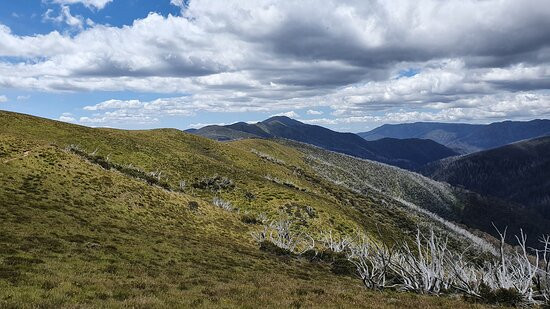 Bungalow Spur Hiking Trail-Harrietville必去景点