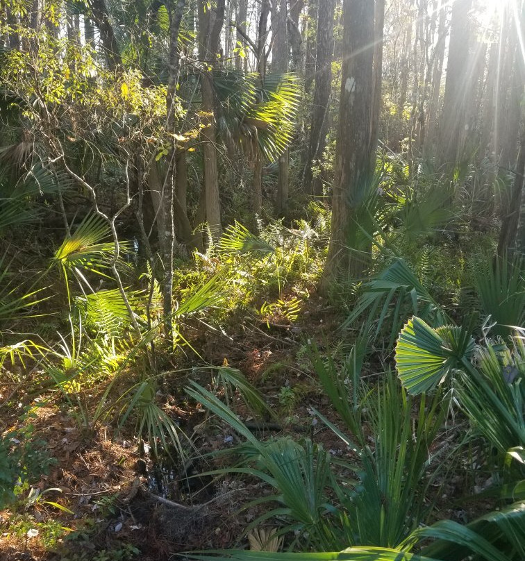 John Chesnut Sr. Park-帕姆港必去景点