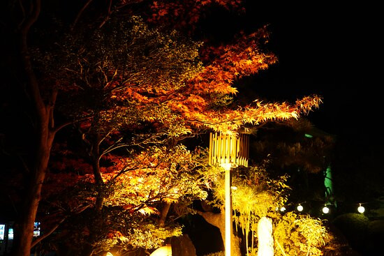 Izumo Shrine Sagamibunshi-秦野市必去景点