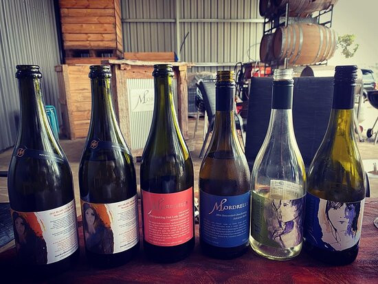 Premium Wine Tours by Scott Ninnis - Private Tours-阿德莱德必去景点