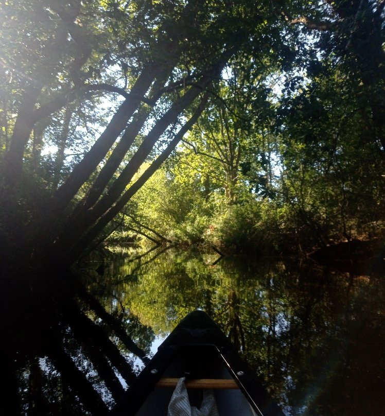 FL'eau景点图片