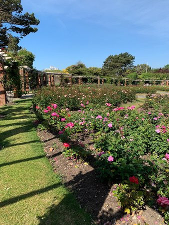 Southsea Rose Garden景点图片