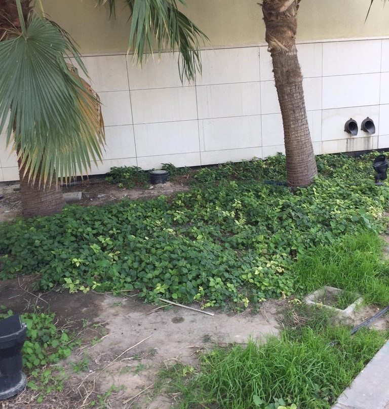 Boulevard Mall-萨尔米亚必去景点