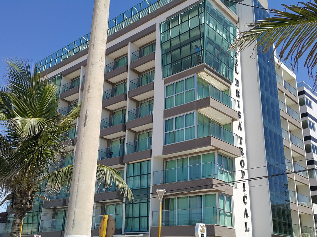 Brisa Tropical主图