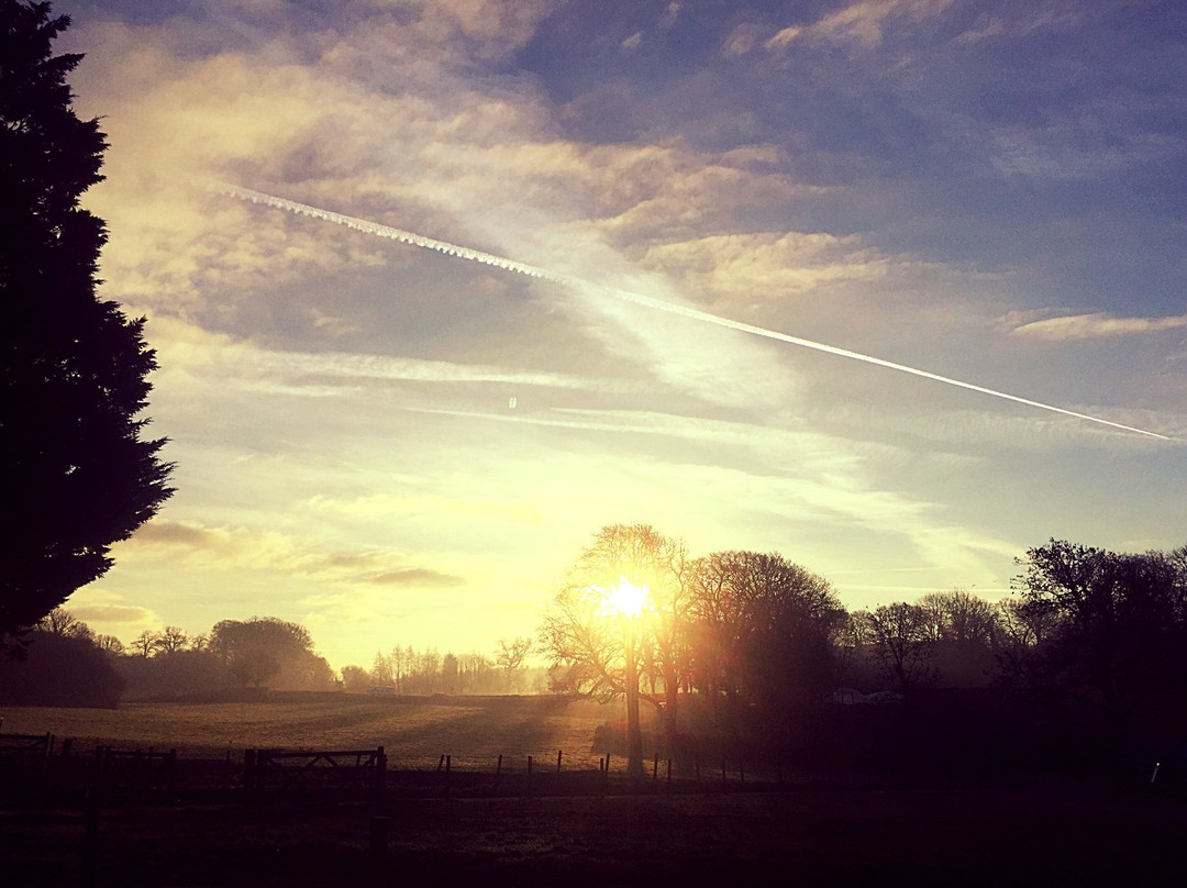 Dartington旅游攻略图片