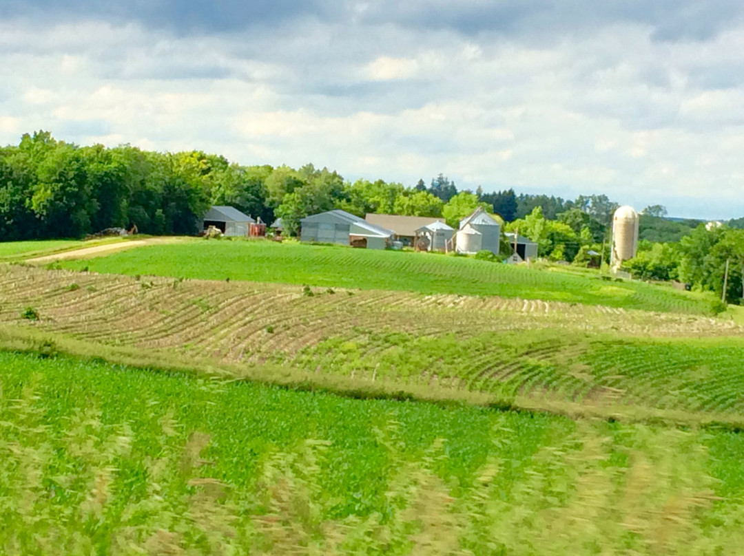 Pepin旅游攻略图片