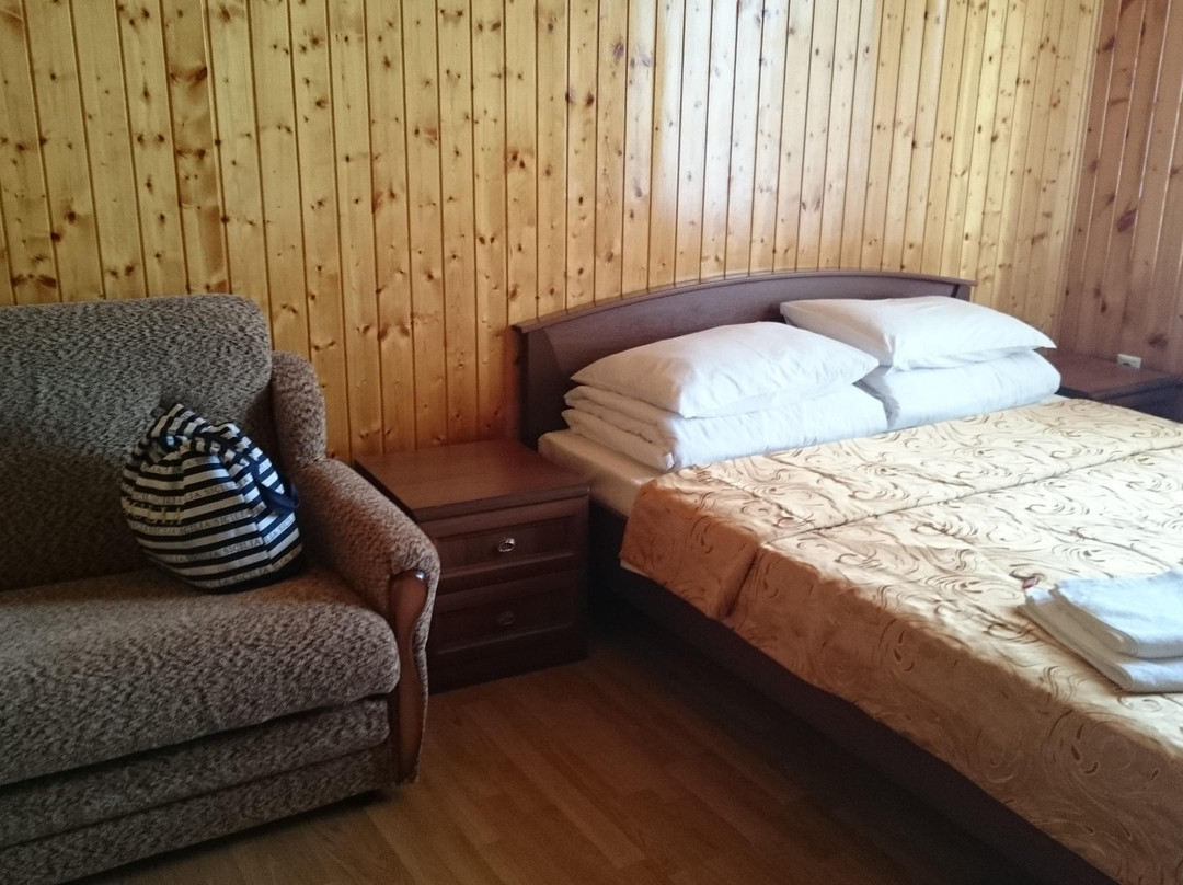Chereshnya酒店住宿-Guest House Anita