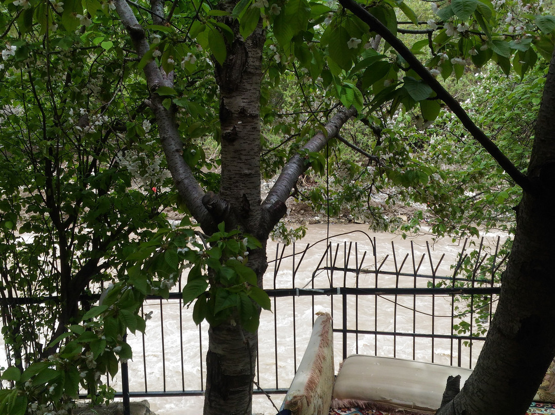 Shandiz旅游攻略图片