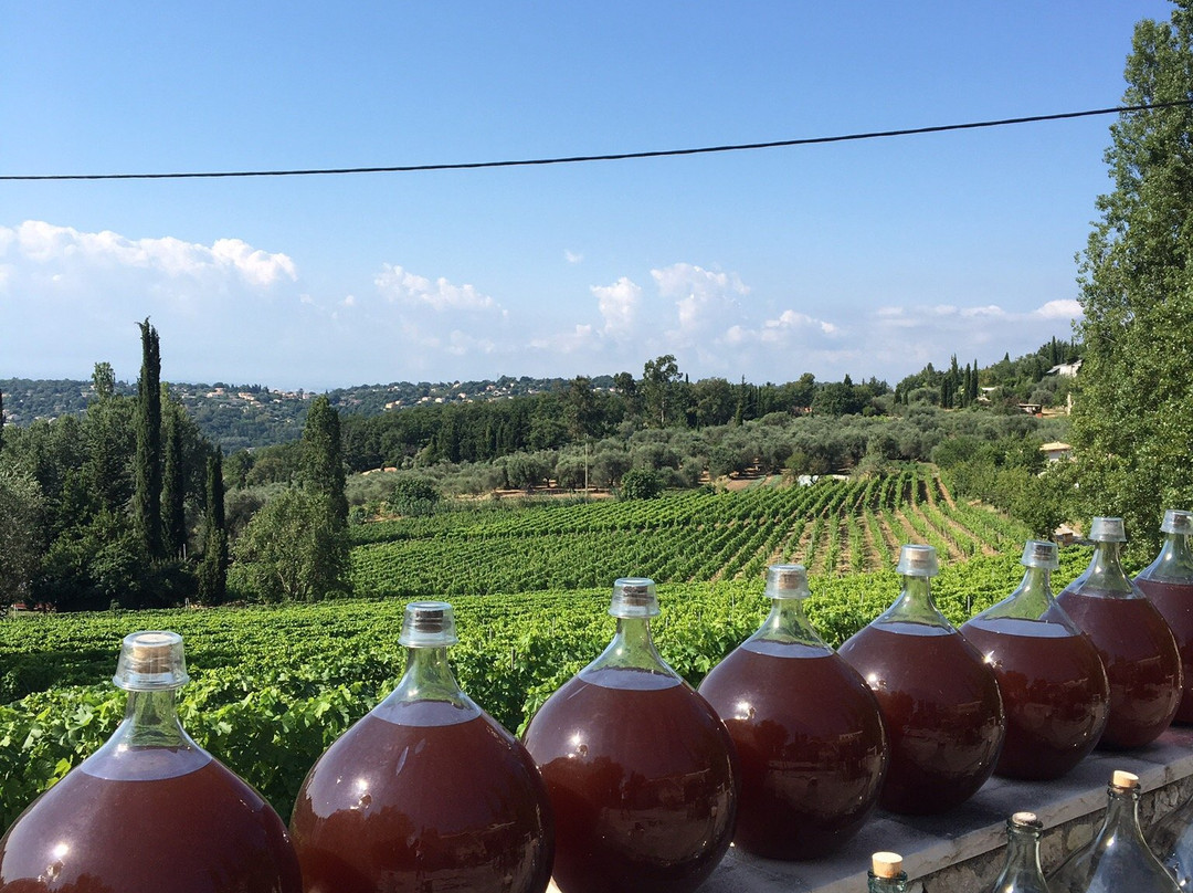 Vignoble Rasse景点图片