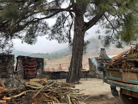 Yenice旅游攻略图片