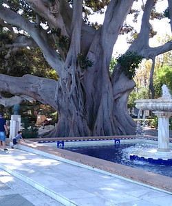 Alameda Apodaca景点门票图片