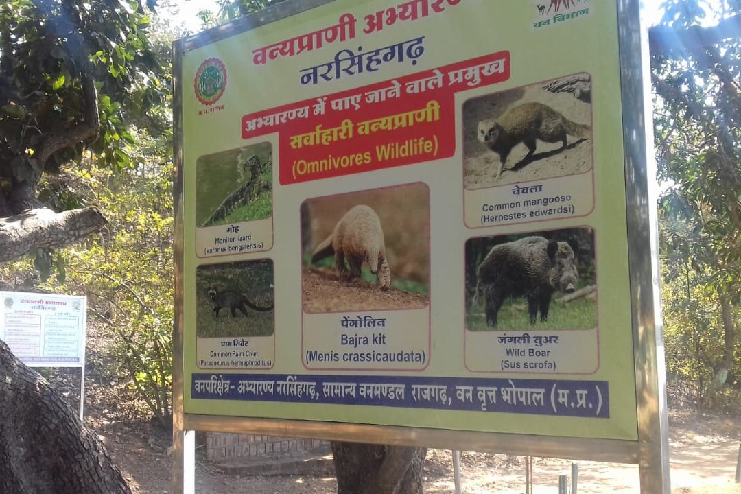 Rajgarh旅游攻略图片