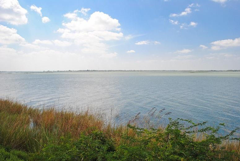 Veeranam Lake景点图片