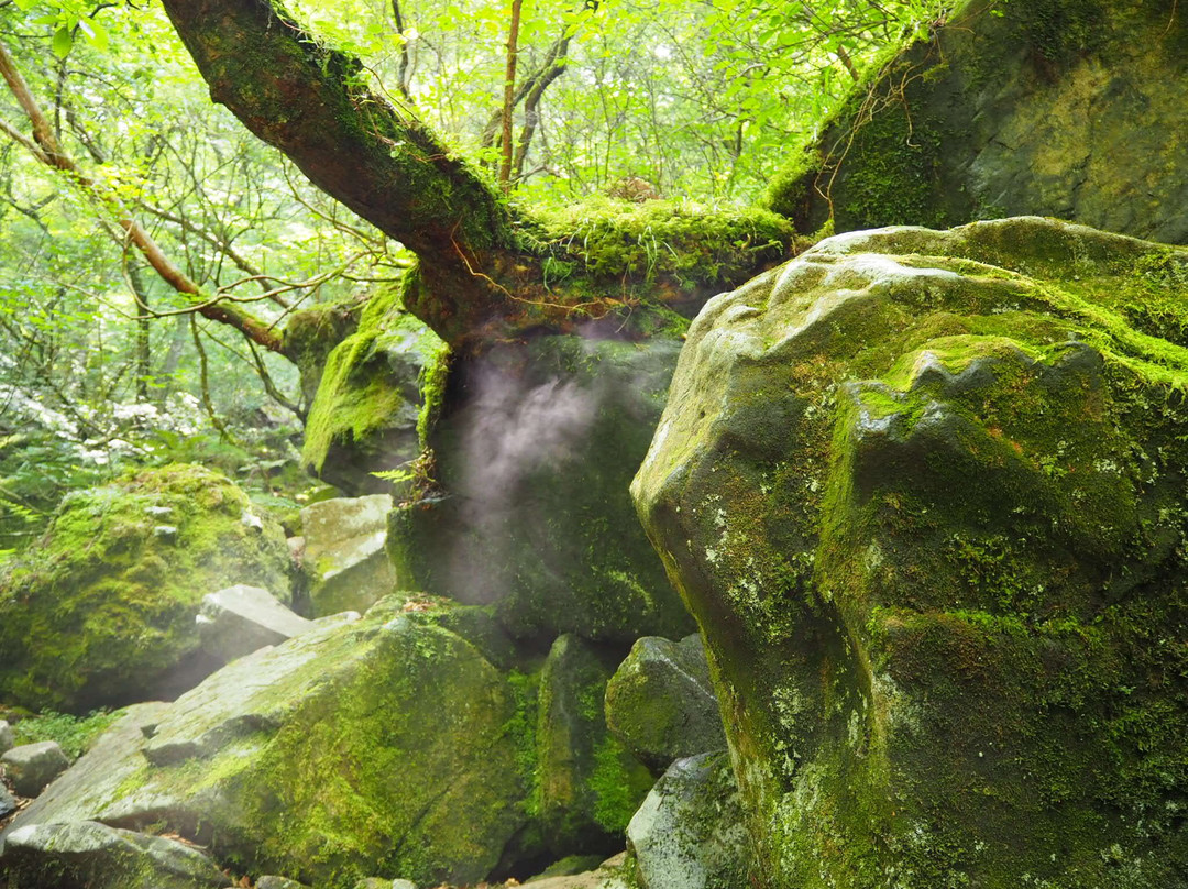 东温市旅游景点-Kazaana - Kamihayashi Forest Park