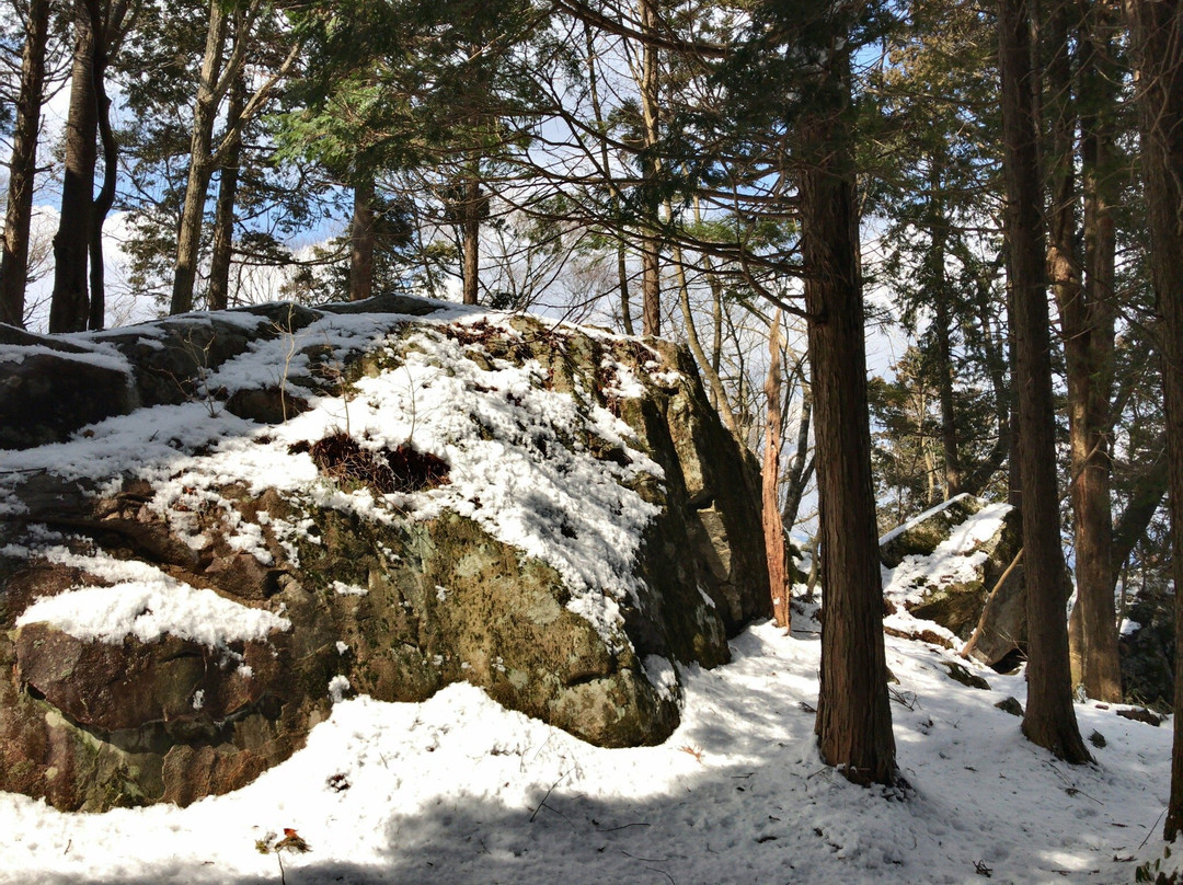 Petroglyph at Mt. Kasagiyama