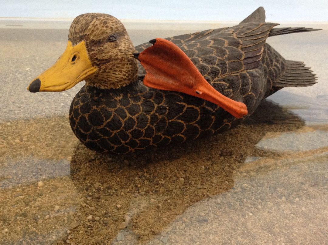 Birds of Vermont Museum-Huntington必去景点