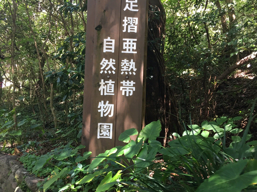 Ashizuri Anettai Shokubutsu-en