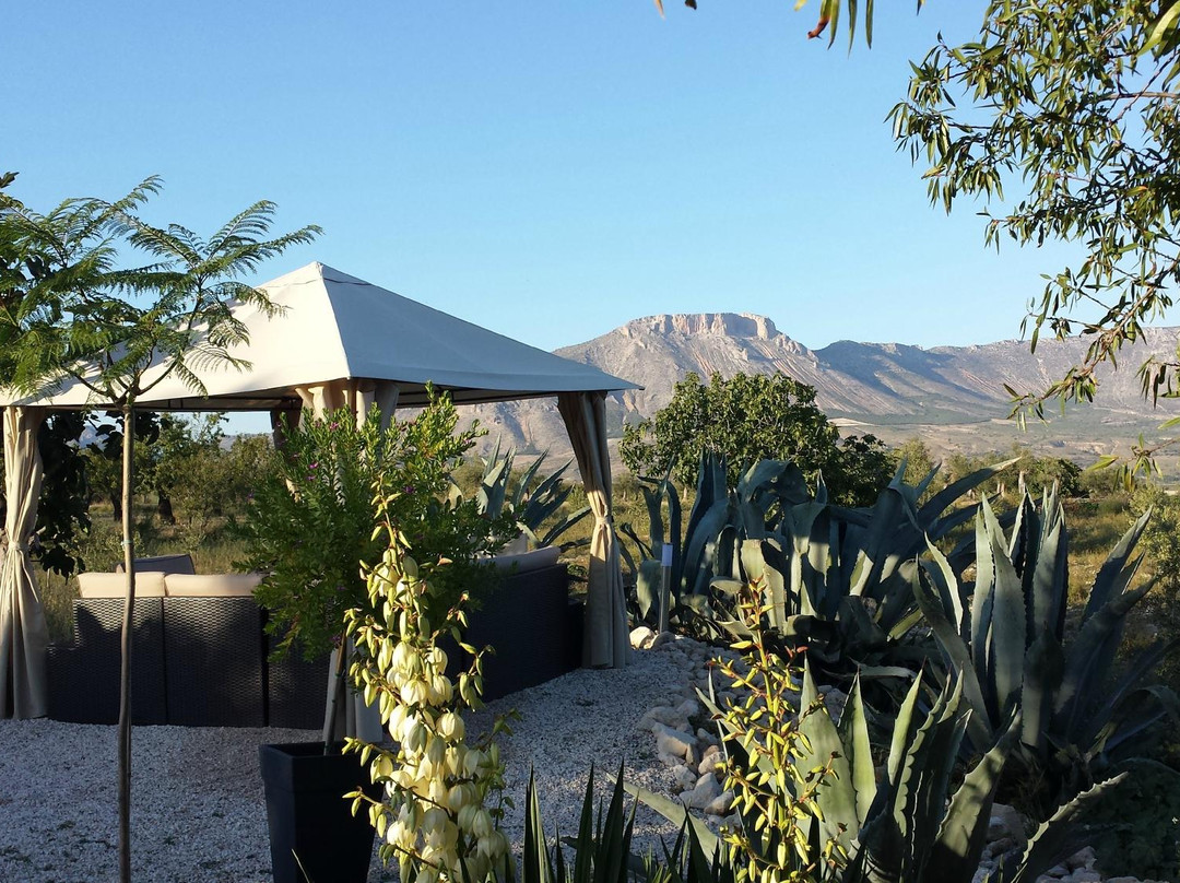 Boutique Bed & Breakfast Casa Paco主图