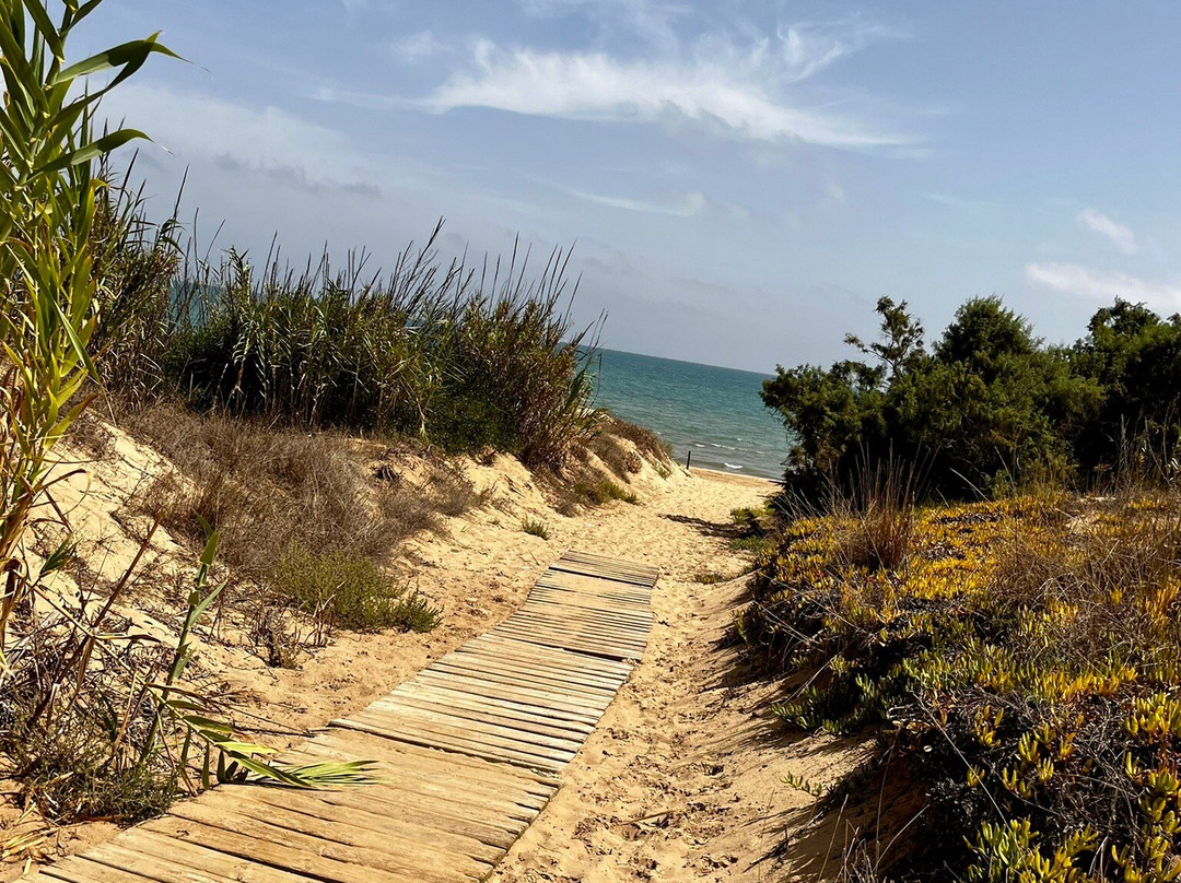 Camping Palm - Mar