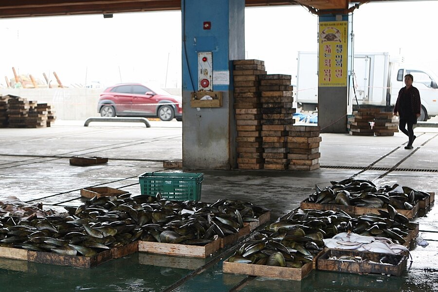Hongwon Port-舒川郡必去景点