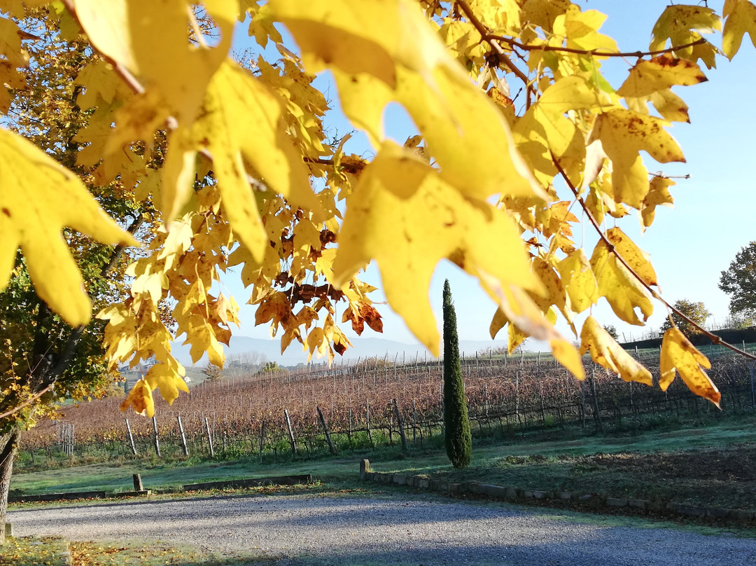 Cantina Priorino-Abbadia di Montepulciano必去景点