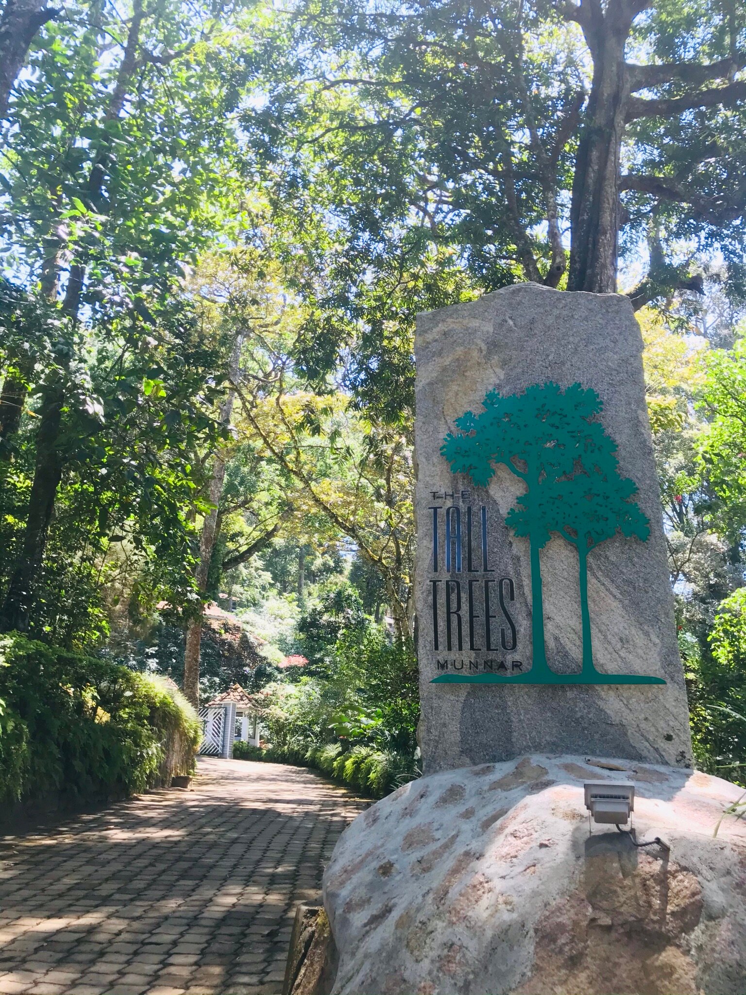 The Tall Trees Munnar-浴室