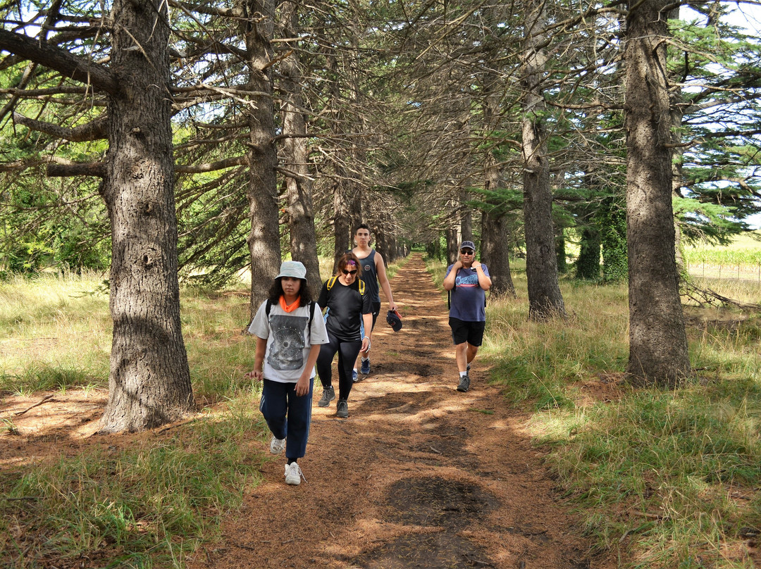 Estancia Las Vertientes-Villa Ventana必去景点