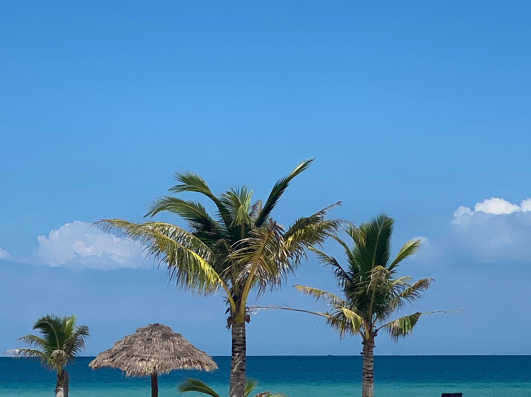 The Secret Garden Koh Rong主图