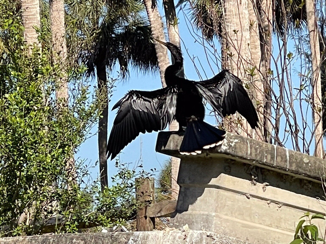 Silver Springs Kayaking LLC-Silver Springs必去景点