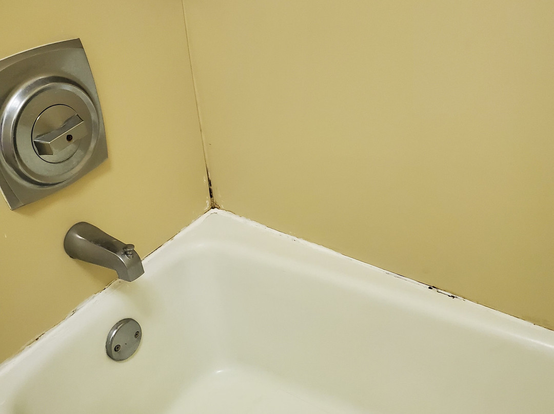 Quality Inn Morehead City