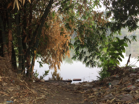 Allure De Vie Day Spa & Med Spa-芝加哥必去景点