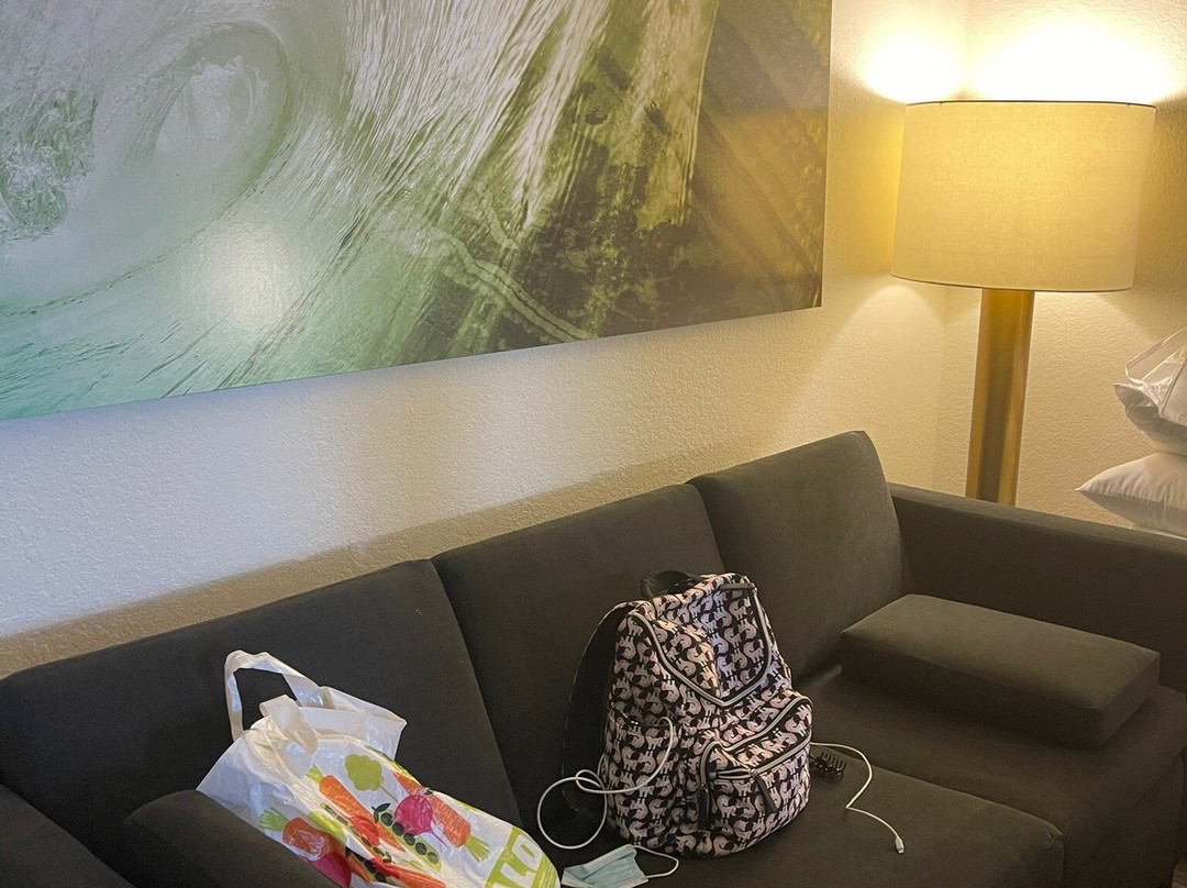 SpringHill Suites by Marriott Naples主图