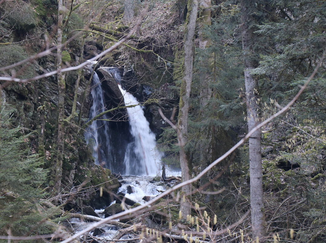 Strahlbrusch Fall-Rickenbach必去景点