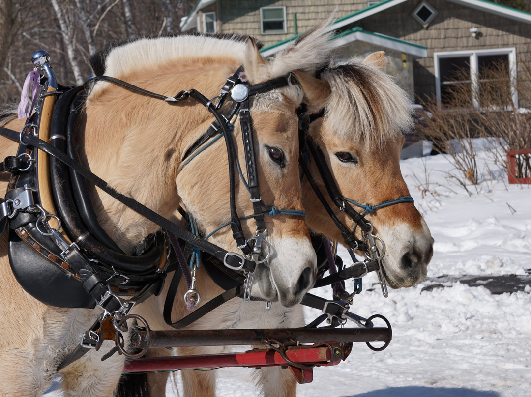 Sleighman-Ishpeming必去景点