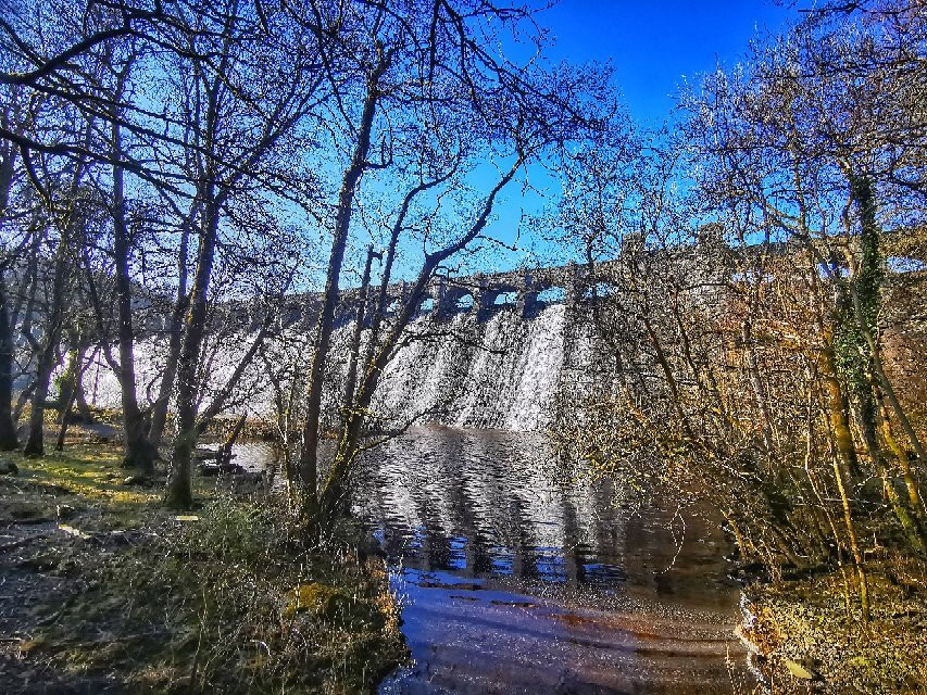 RSPB Lake Vyrnwy-奥斯沃斯特必去景点