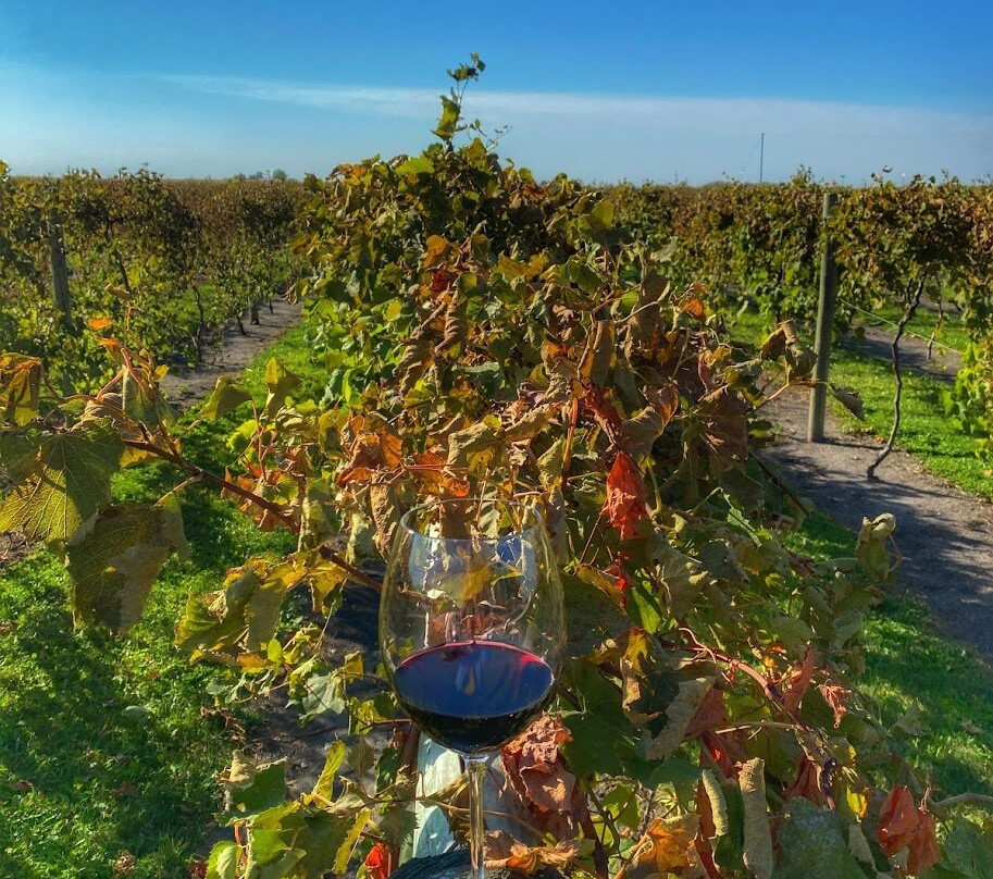 Soldier Creek Winery-Fort Dodge必去景点