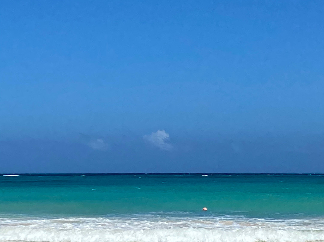 Silver Palms Hotel主图