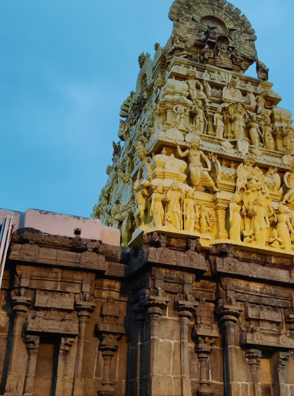 Arulmigu Thiruvallikeni Parthasarathy Temple景点图片