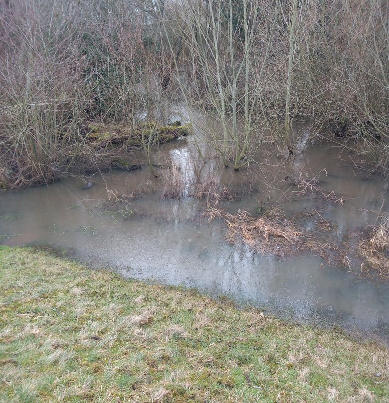 Fox Covert Local Nature Reserve-Long Eaton必去景点