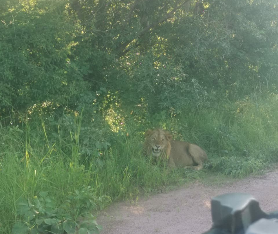 Kafue National Park-Kafue National Park必去景点