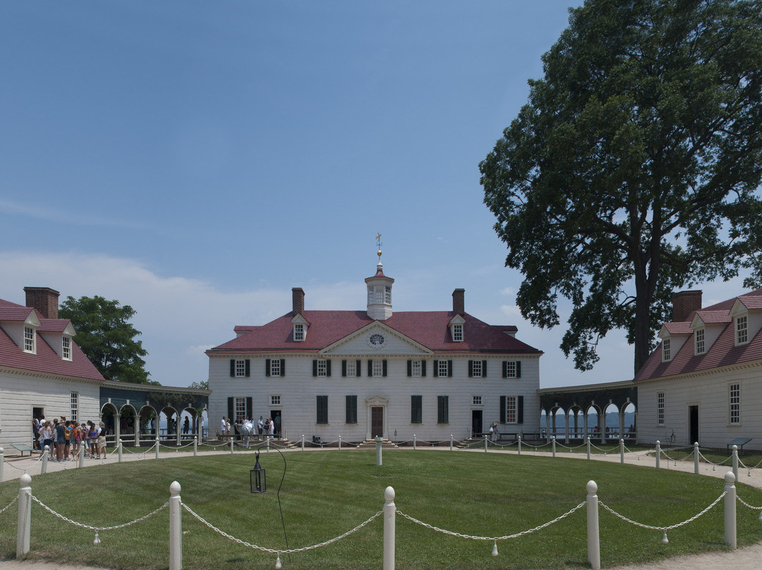 Candlewood Suites Alexandria - Fort Belvoir by IHG主图