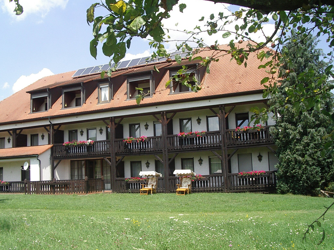 Gasthof-Pension Grüne Au