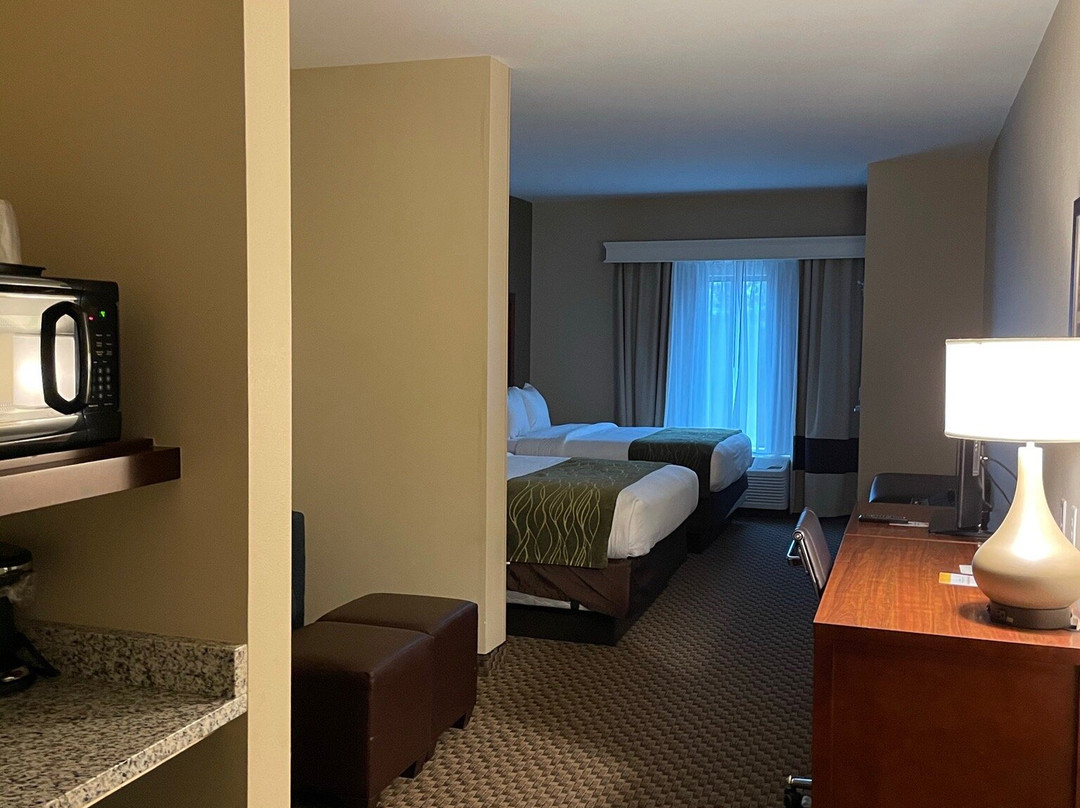 Comfort Inn & Suites主图