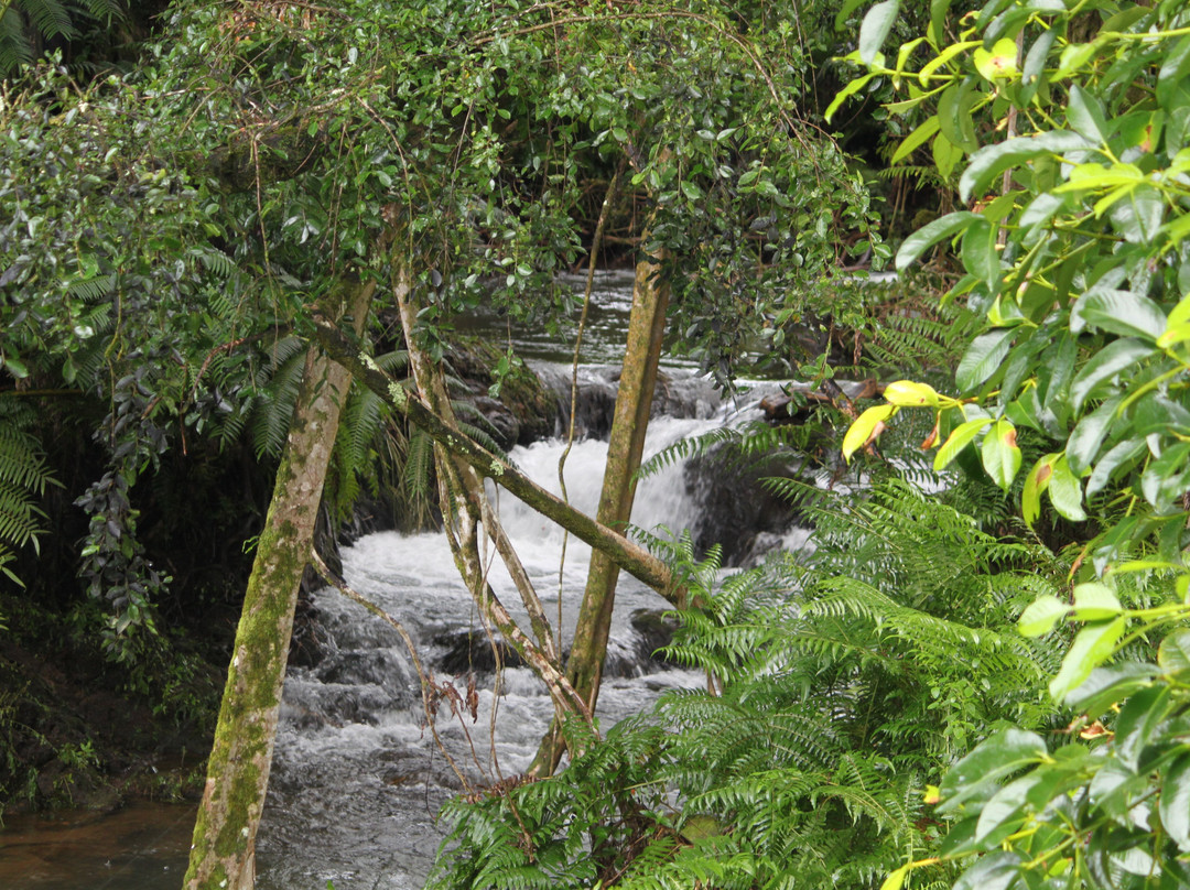 Hamakua Guesthouse主图